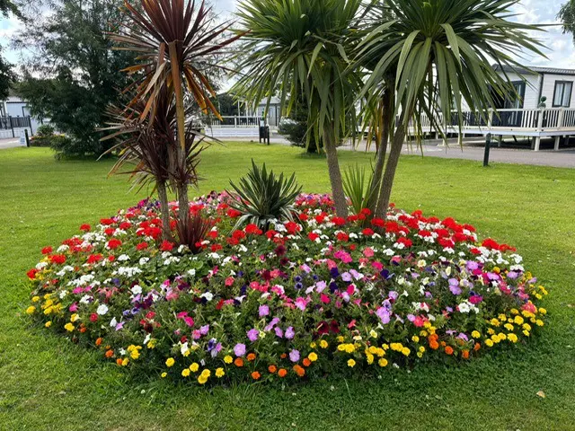 Norfolk Broads Country Park